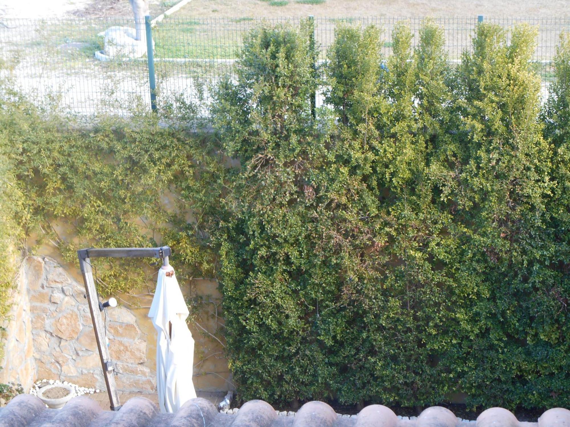 לצ'ה Bed & Breakfast Giardini Di Marzo מראה חיצוני תמונה