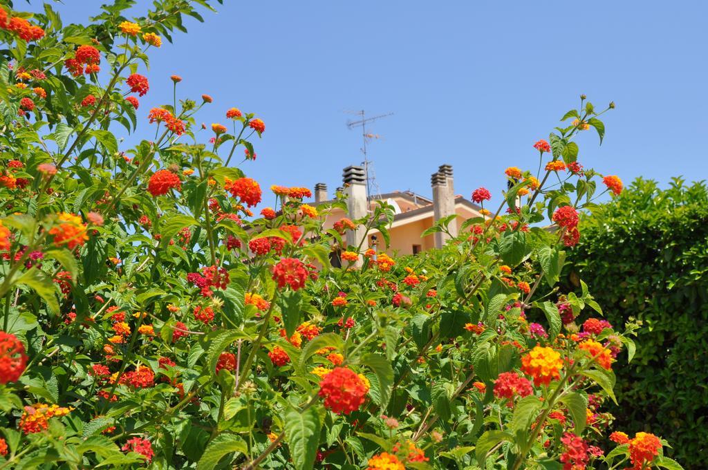 לצ'ה Bed & Breakfast Giardini Di Marzo מראה חיצוני תמונה