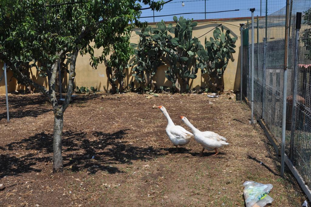 לצ'ה Bed & Breakfast Giardini Di Marzo מראה חיצוני תמונה
